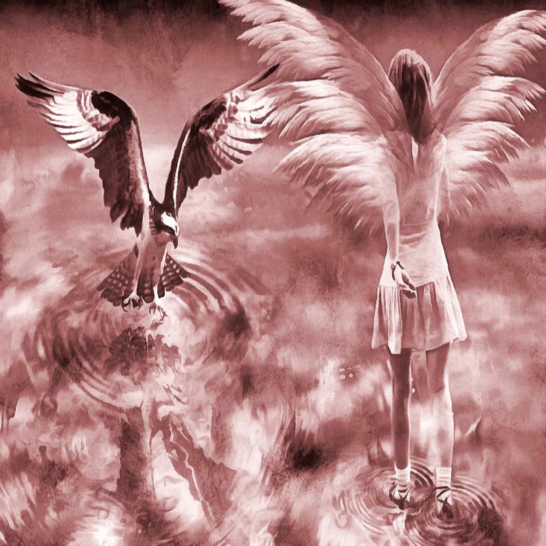 Angel No.1