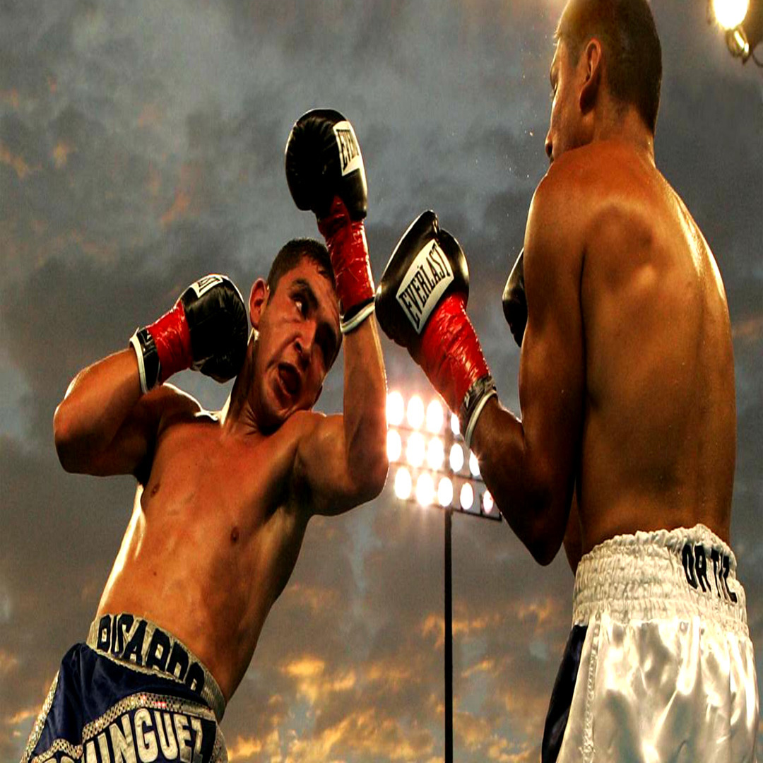 Der Boxer